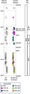 Virus induced gene silencing confirms oligogenic inheritance of brown stem rot resistance in soybean